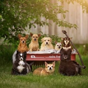 Meet your Posher, Steven